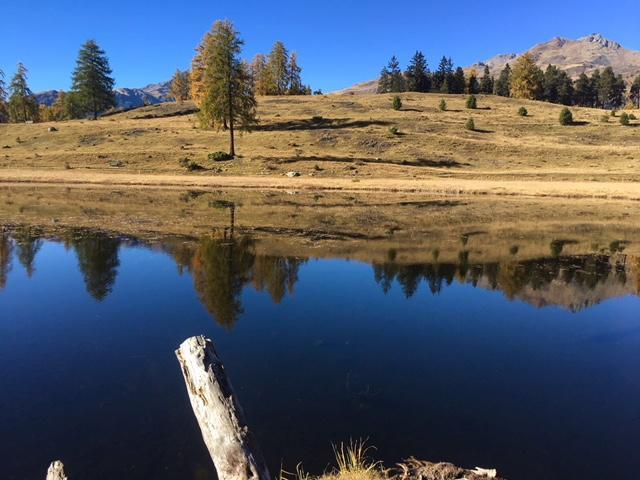 Apartmán Chasa Mundin Scuol Exteriér fotografie